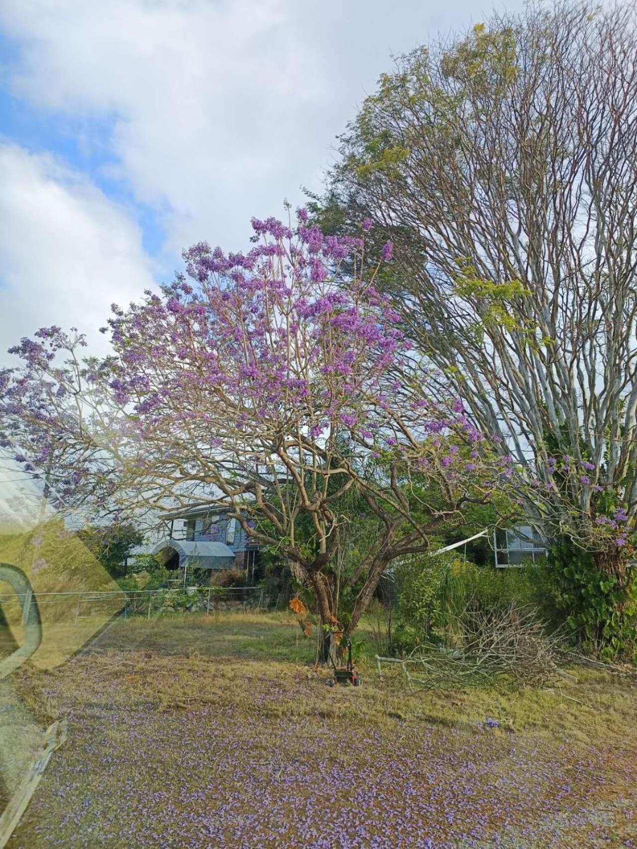 Yny Guest House Waterford ภายนอก รูปภาพ